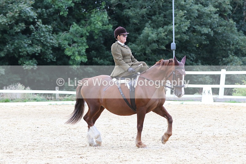 0I1A7086 - Class 9: Prelim Freestyle to Music