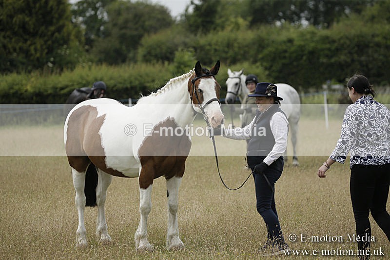 B230619-0391 - Bourne Valley Riding Club Summer Show 23/06/19