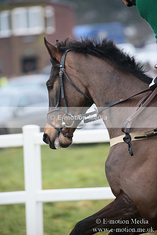 PtP 170219 -399 - Combined Services Point-To-Point Larkhill 17/02/19