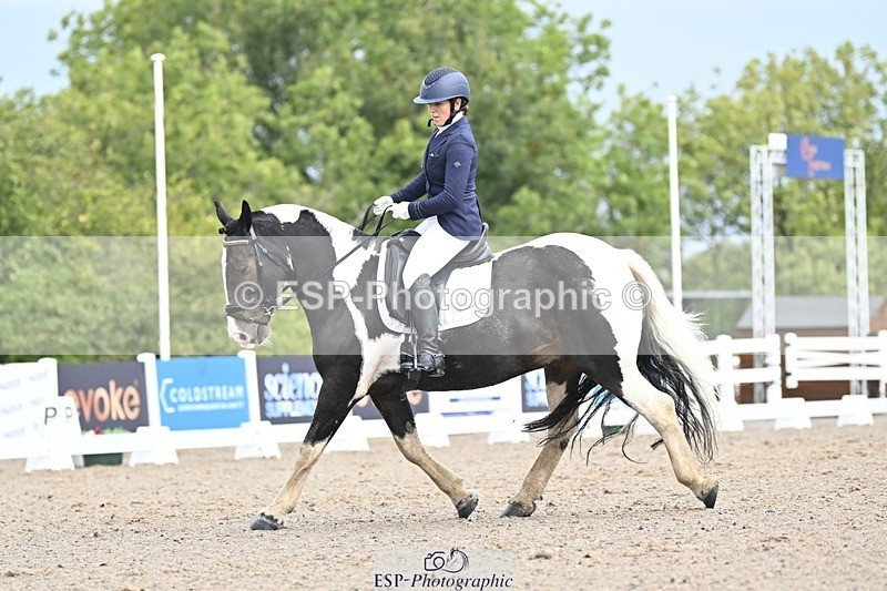 250907-105525-06415 - 082-Samantha.FussellDai.The.Pied