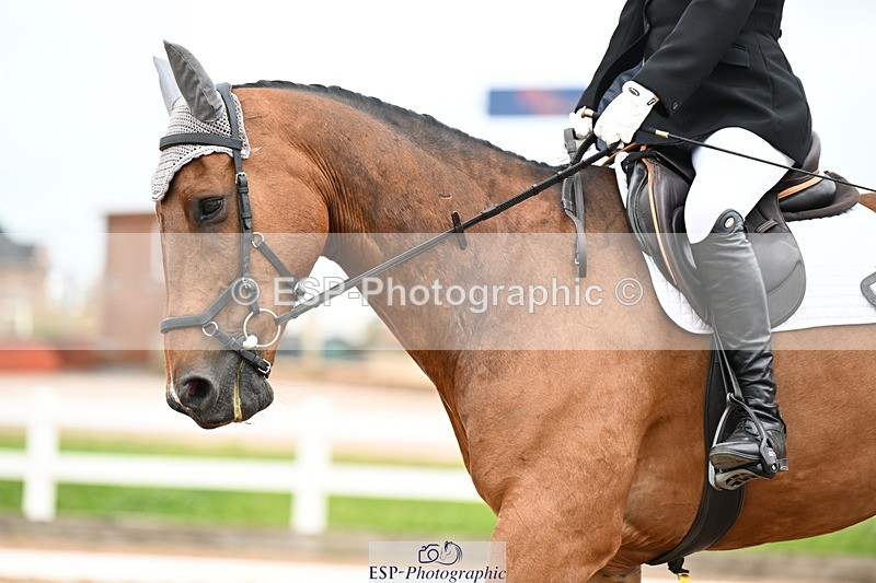 240623A-135021-19100 - Cls 5+6 Novice 27+30