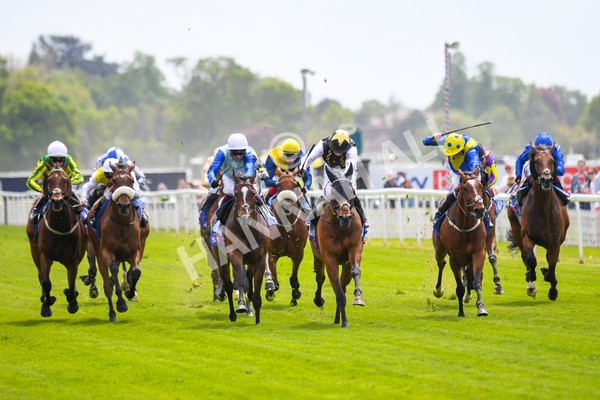 170523-Race 1-Scampi-0166 - Race 1 1.50pm Sky Bet Race To The Ebor Jorvik Handicap