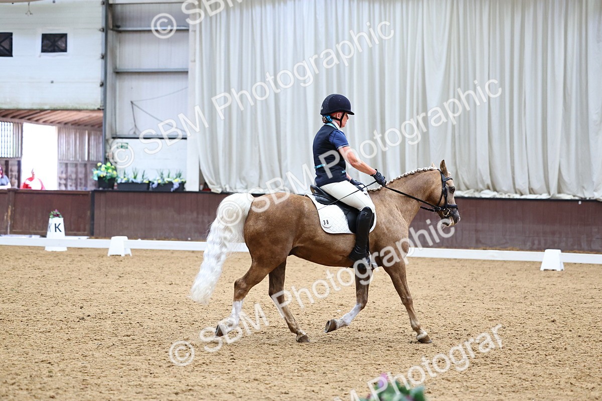 SBM_005568 - Elementary 2