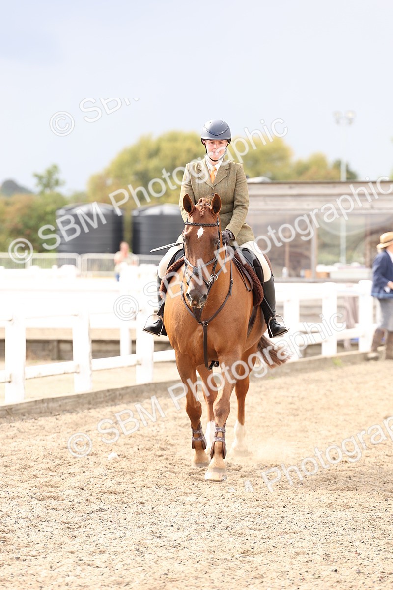 SBM_07450 - Class 59a -  Style & Performance - 80cm (15-19)