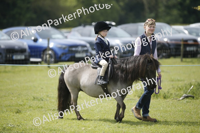 20260426-1863 - Class 7 - Pony Judge Would Most Like To Take Home