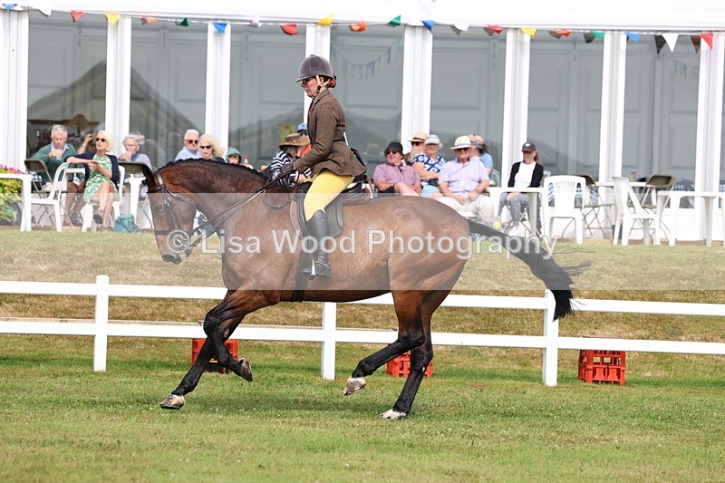 3E7A9468 - Class 4: Rising Star M/H Hunter