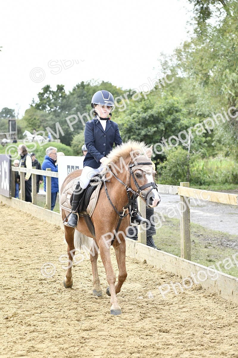 SBM_66238 - J2a mini Tour Junior Pony 30cm Championship