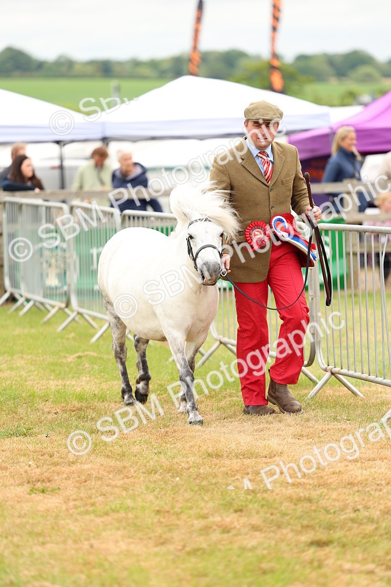 SBM_03556 - Class 58-67 - M&M Non Welsh Pony In hand