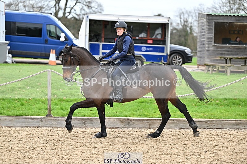 250201A-103150-00247 - Cls 01 Local Horse 90cm