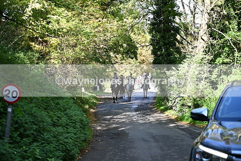 WJ7_6049 - Hounds Water Crossing