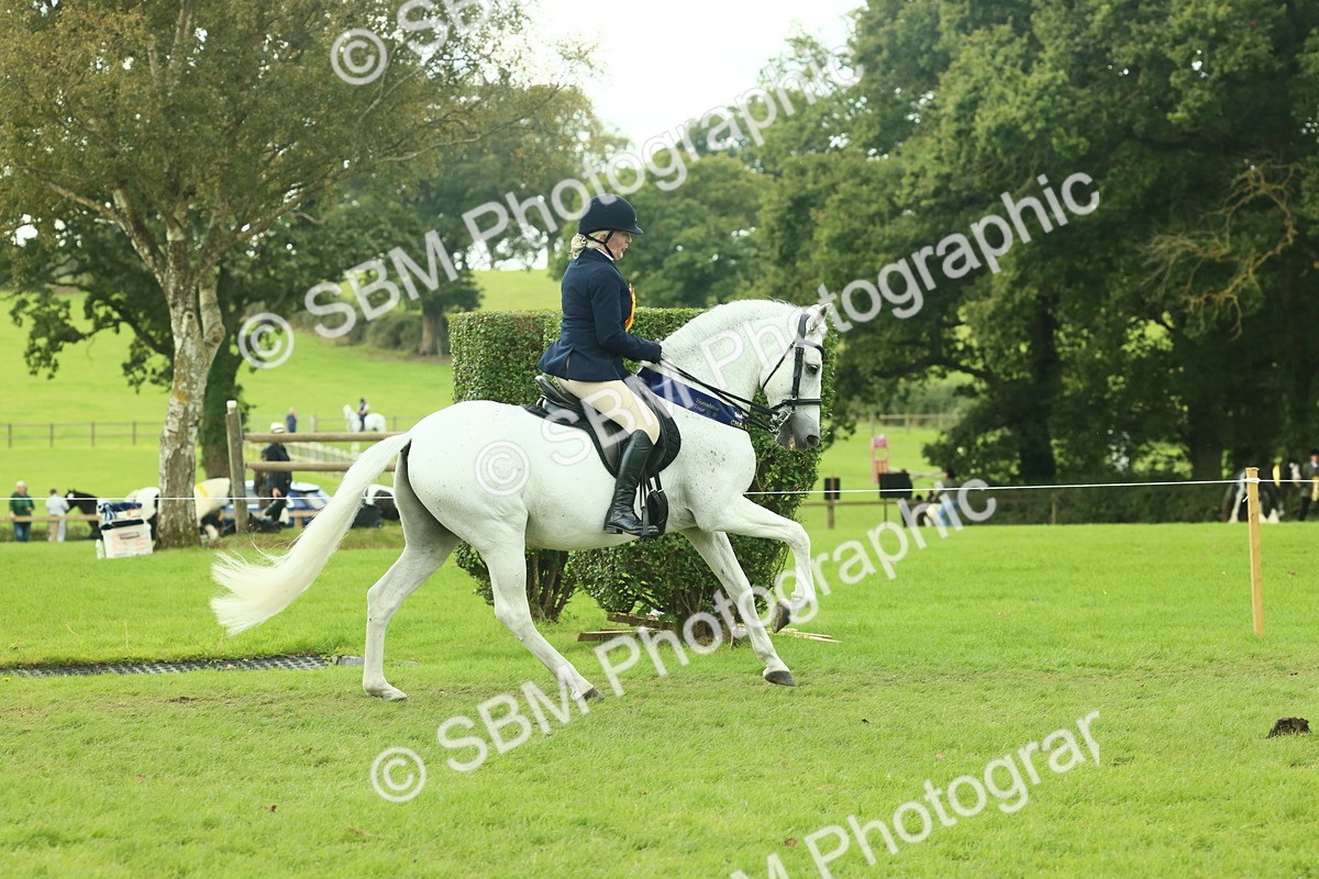 SBM_62554 - S62 - Foreign Breeds Ridden