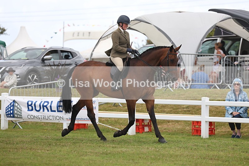 3E7A1365 - Class 9: Open Hunter