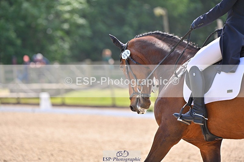 250523A-151157-07786 - A-054-Alice.Gates-SHANBEG.PANDORA