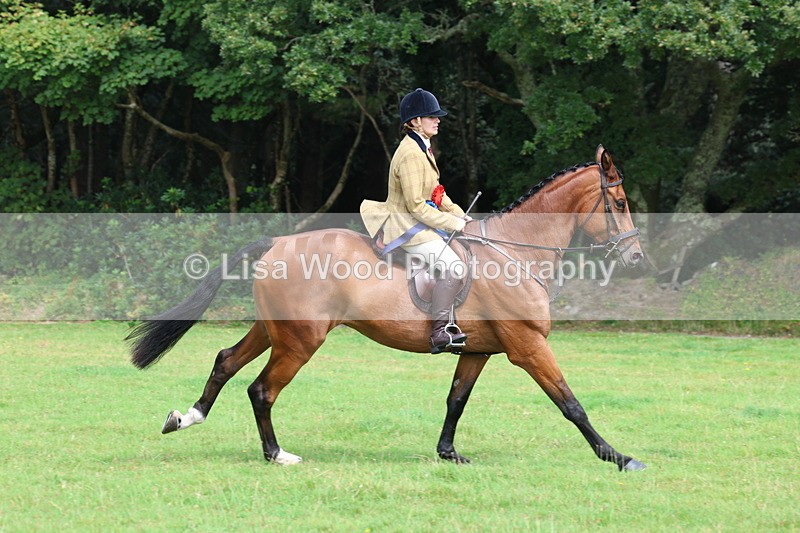 3E7A6218 - Working Hunter Championship