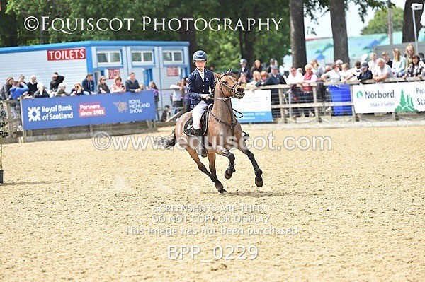 BPP_0229 - RHS 2019 Selection - *Just some random spectator shots so Lucky Dip if you are there!