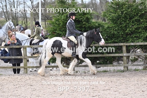 BPP_7397 - RING 1  (RIDDEN HORSES / IN HAND / VETERAN ETC)