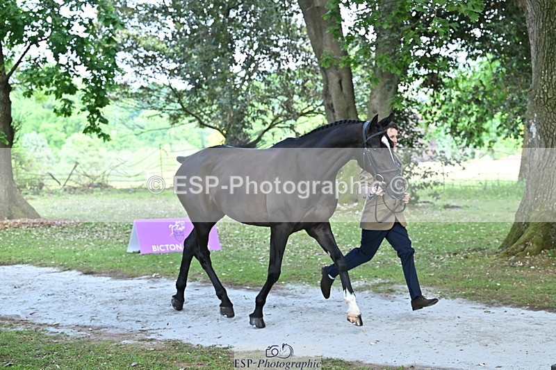 250521A-153124-00566 - B-365-Tom.McEwen-MAESTRO