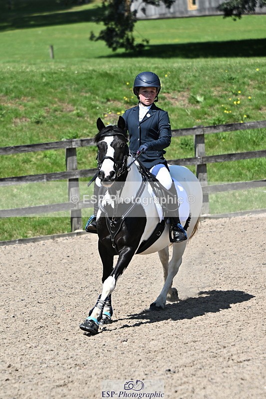 240729B-122216-02640 - Showjumping Competition