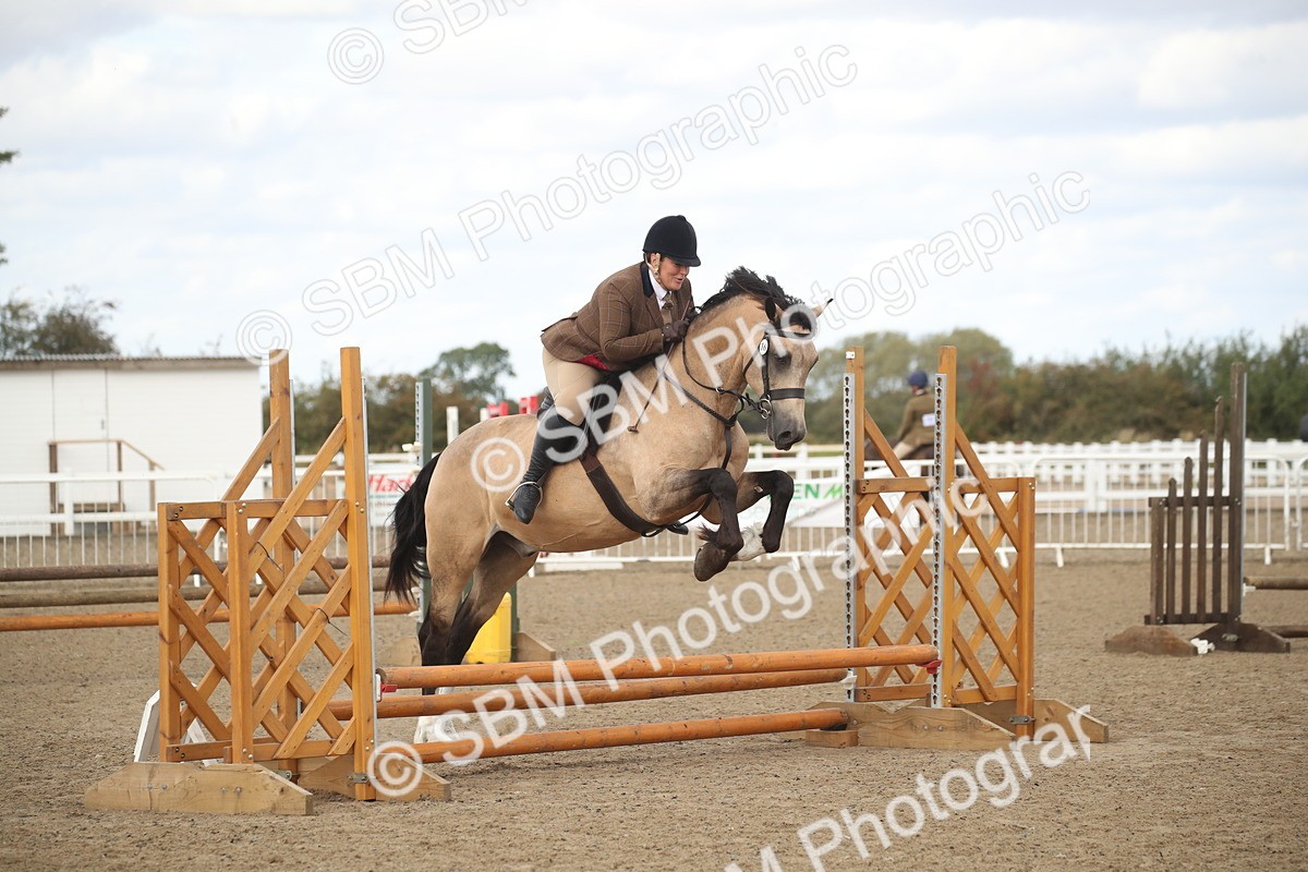 SBM_14563 - Class 505a - M&M Working Veteran - 50cm (15-19)