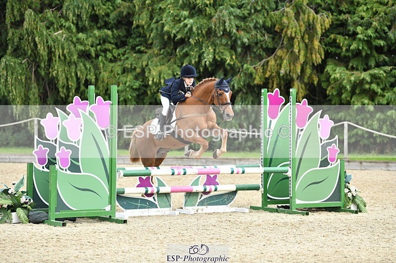 230827-134539-26073 - SJ 13.30 to End