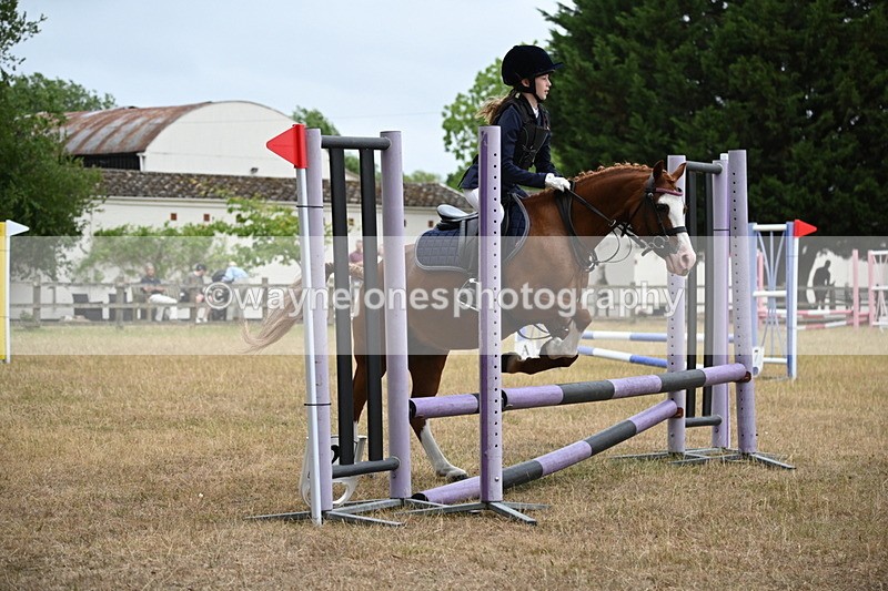 WJ6_0132 - Class 13 Novice Jumping 60cm