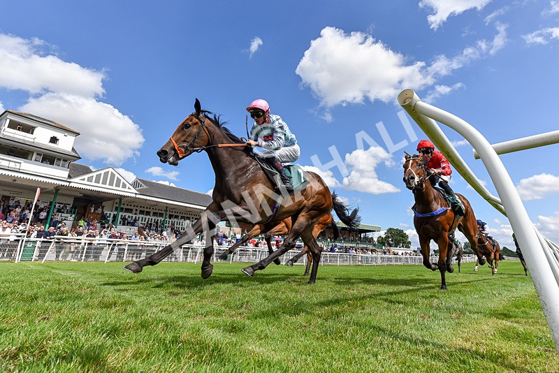 160725-Race 2-Shetakesthegold-7380 - Race 2