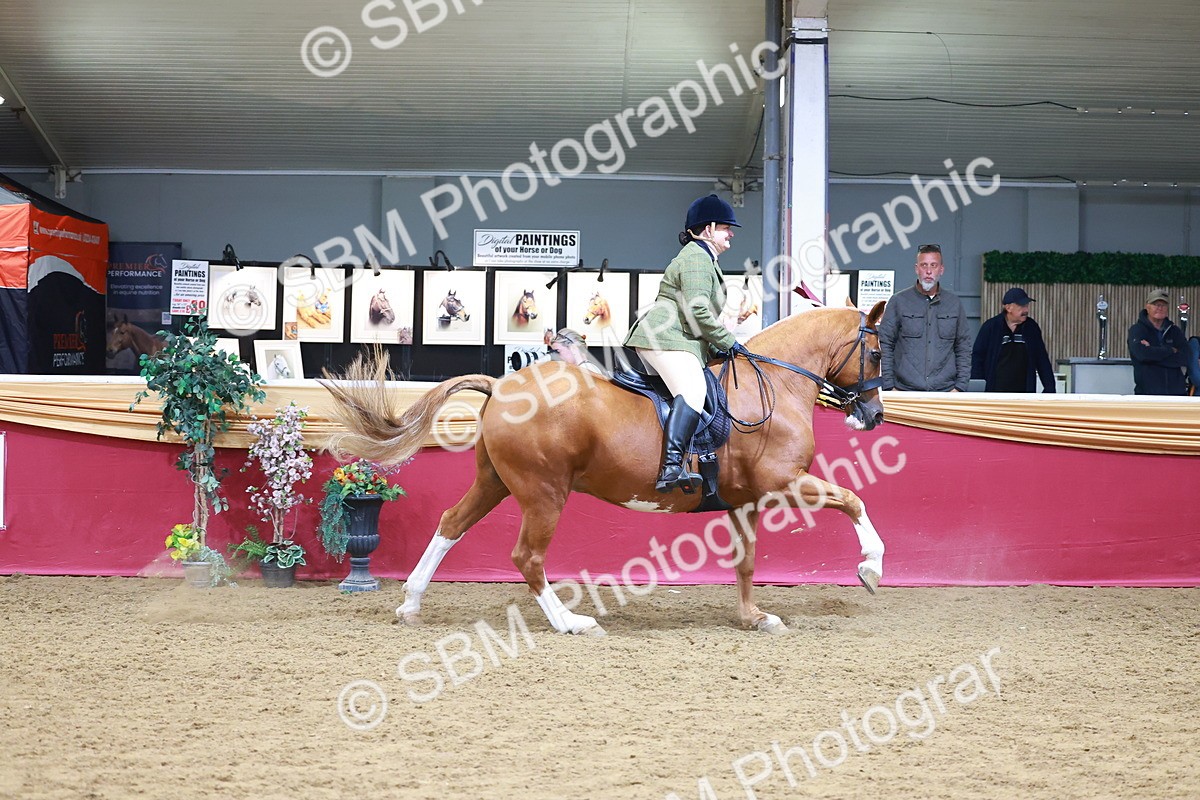 SBM_06379 - Class 12R - Ridden Pre-Vet