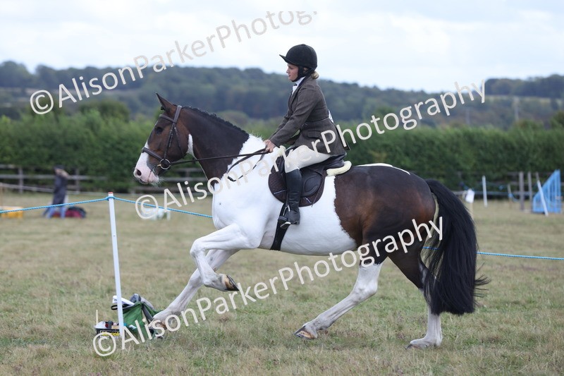 20250831-4314 - Class 20 - Ridden Coloured