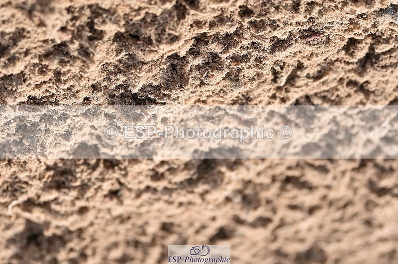 231015A-130332-08188 - Cls 25 95cm Amateur Q 2nd R