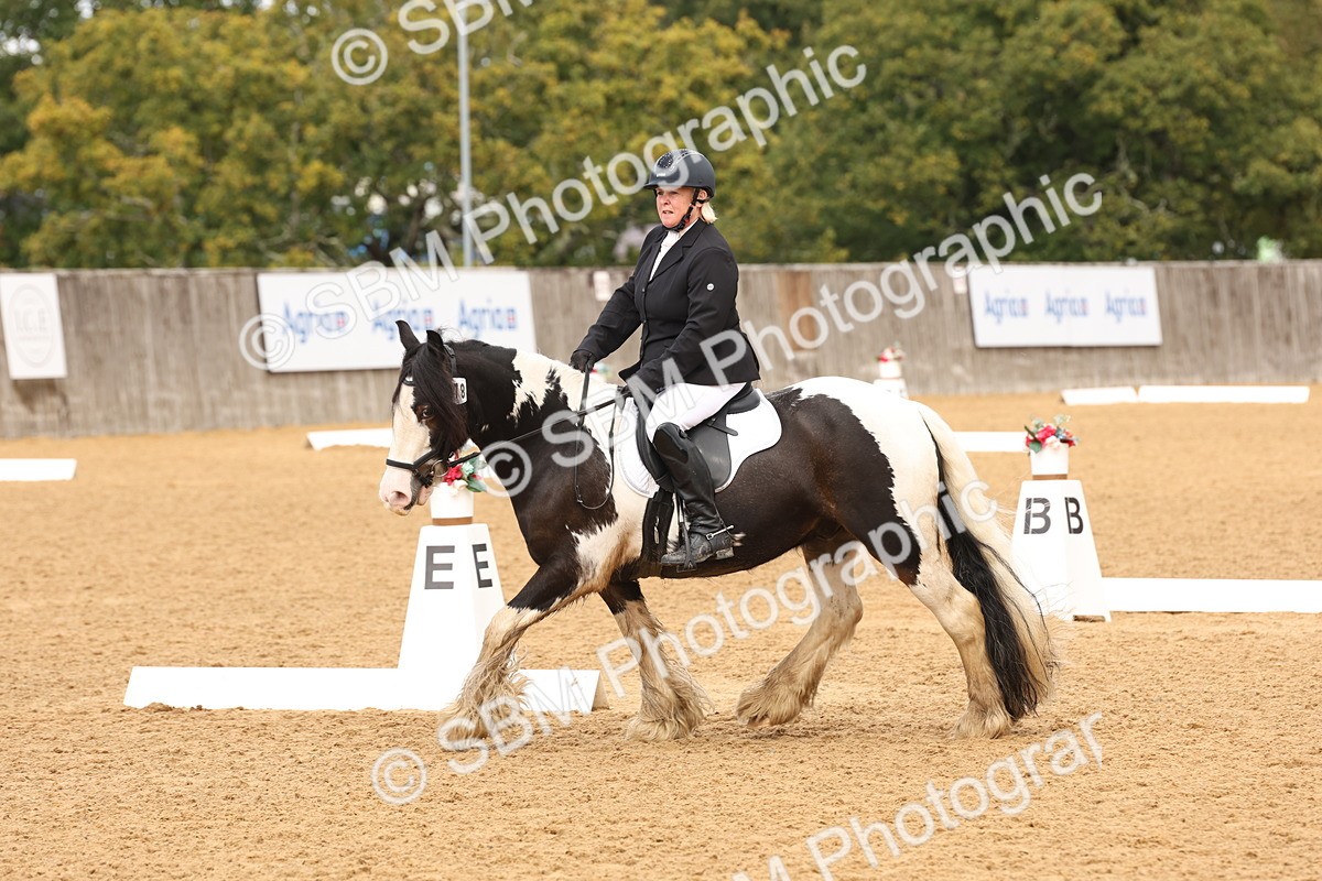 SBM_40686 - D6 - Small Tour Championship Intro 4