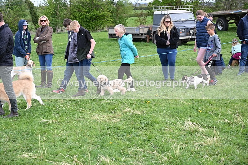 WJ6_8505 - Class 6 Best Rescue