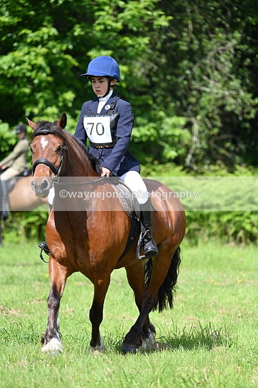 WJ7_1193 - Class 11 Condition & Turnout