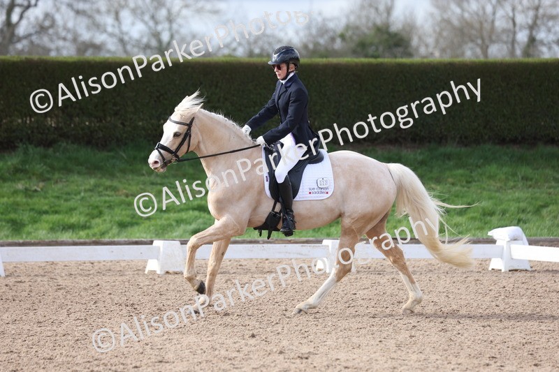 20260301-0654 - Class 4 - Novice 5