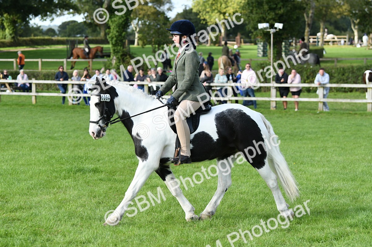 SBM_51837 - S21 - Novice & Newcomers 1st Ridden Pony