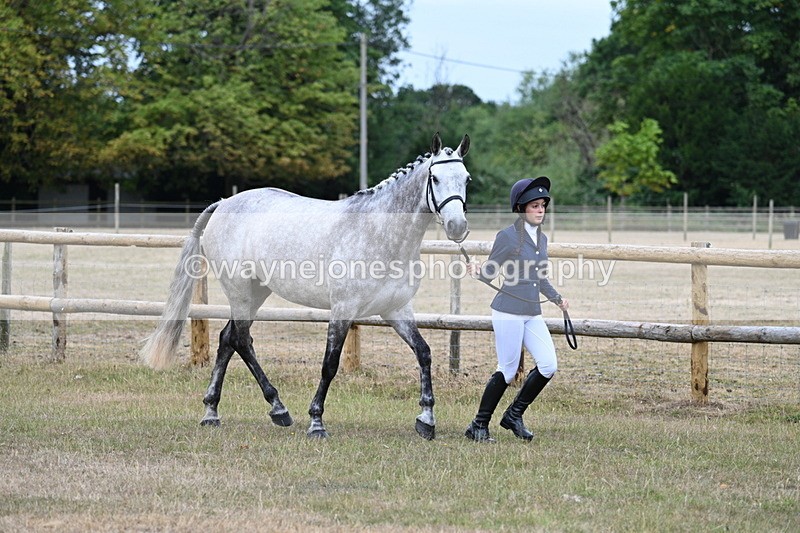 WJ7_8711 - Class 4a Prettiest Mare 14.2hh and over