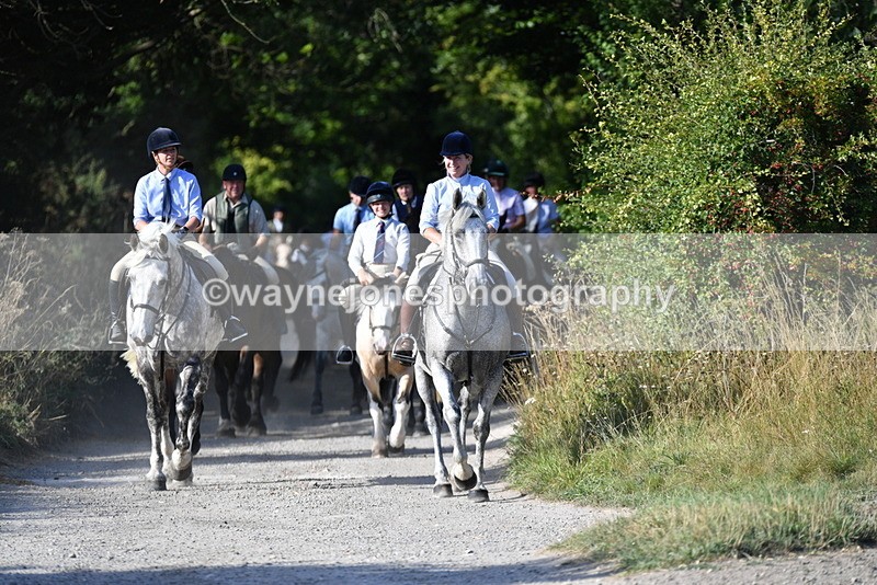 WJ5_4876 - Walk out with the hounds