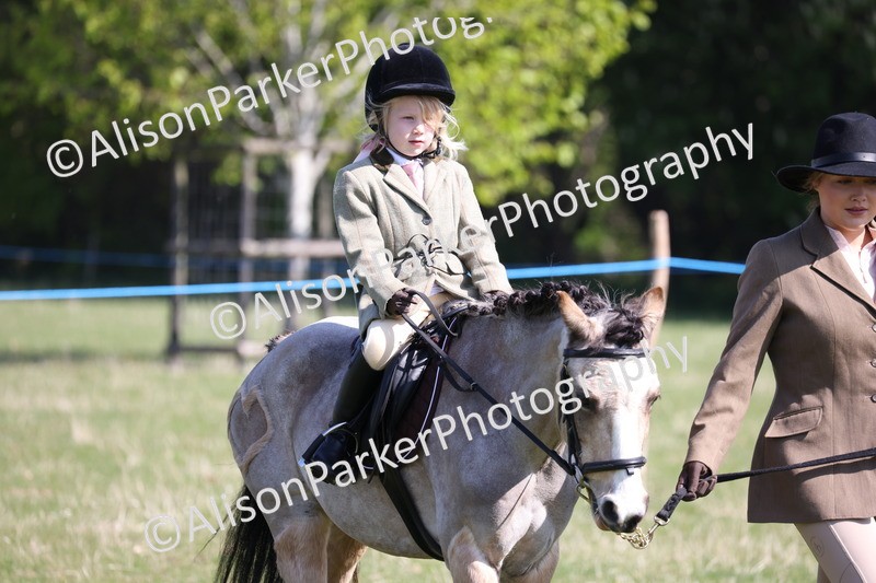 20250427-1561 - Class 31 - Leading Rein Pony