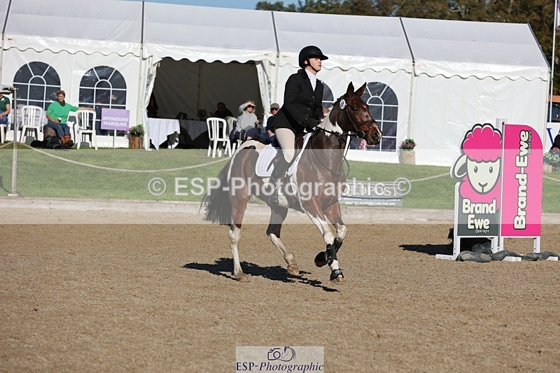 241027-113848-16902 - 404-Tamzin.Ferguson-SANTORINI