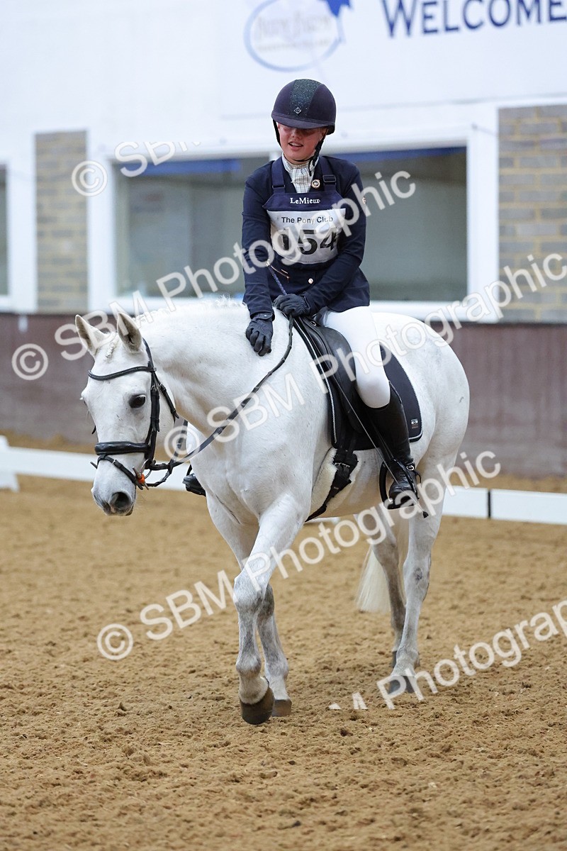 SBM_004186 - Intermediate