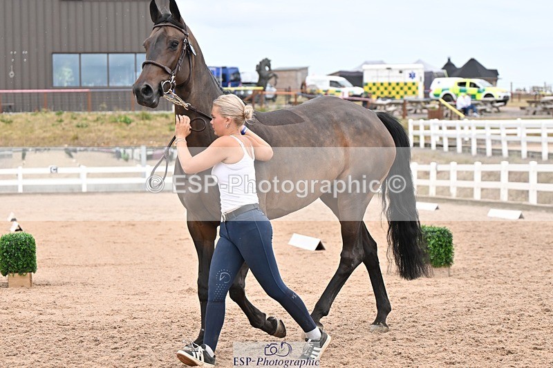 250716-161034-02493 - Trot Up 3.30 to 4.30