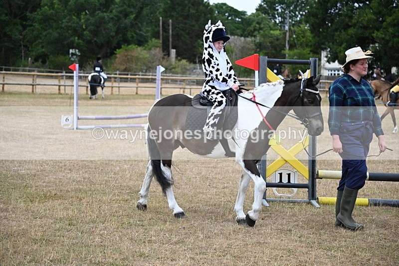WJ6_8647 - Class 11 Fancy Dress