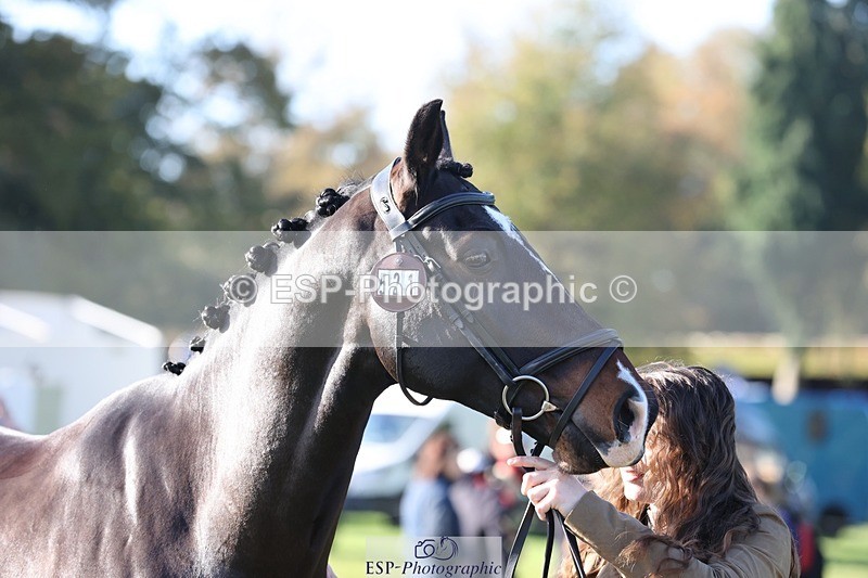 241027-103506-15982 - 521-Rhianna.Ryan-HATTERALL.NEW.YORK