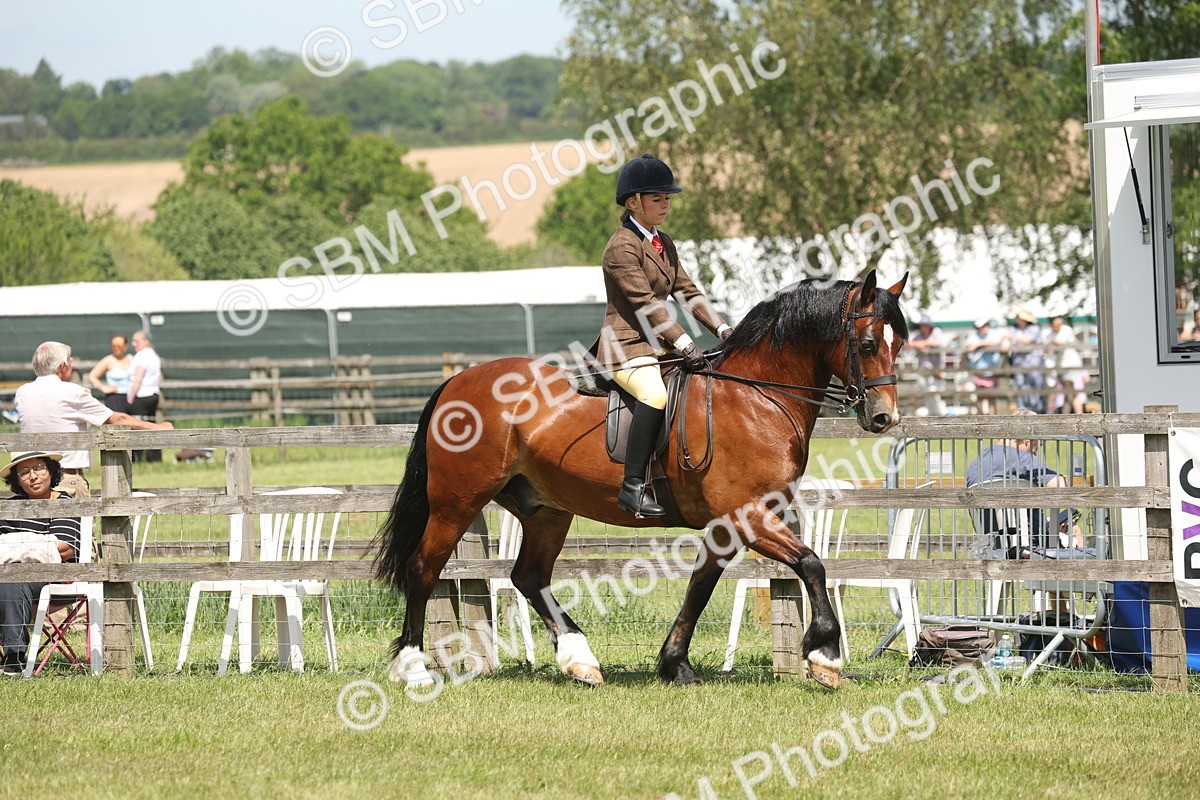 SBM_06886 - Class 26-30 - Mountain and Moorland Ridden