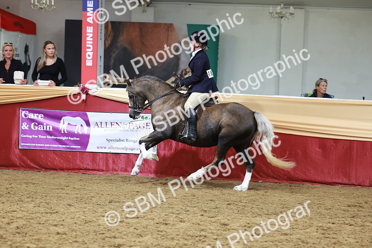 SBM_18603 - Class 952 - M&M Ridden Supreme Final