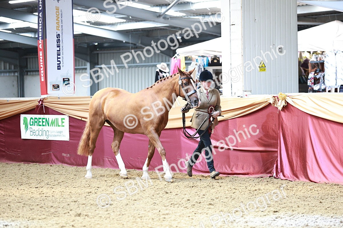 SBM_04905 - Class 7R - Regional IH Diamond