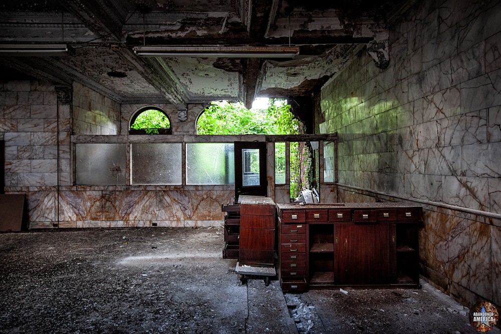 Trees Use Rear Entrance | Abandoned Second National Bank, Brownsville - Brownsville, PA
