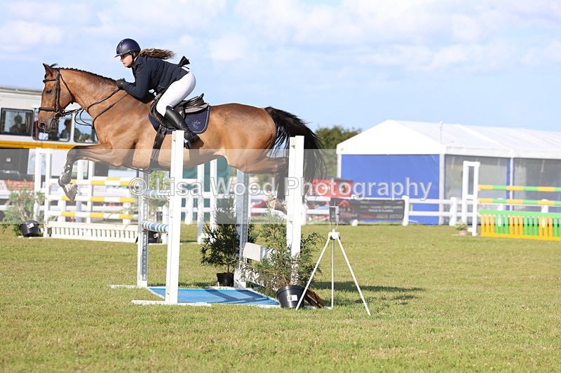3E7A4343 - Class C: Showjumping Senior Foxhunter