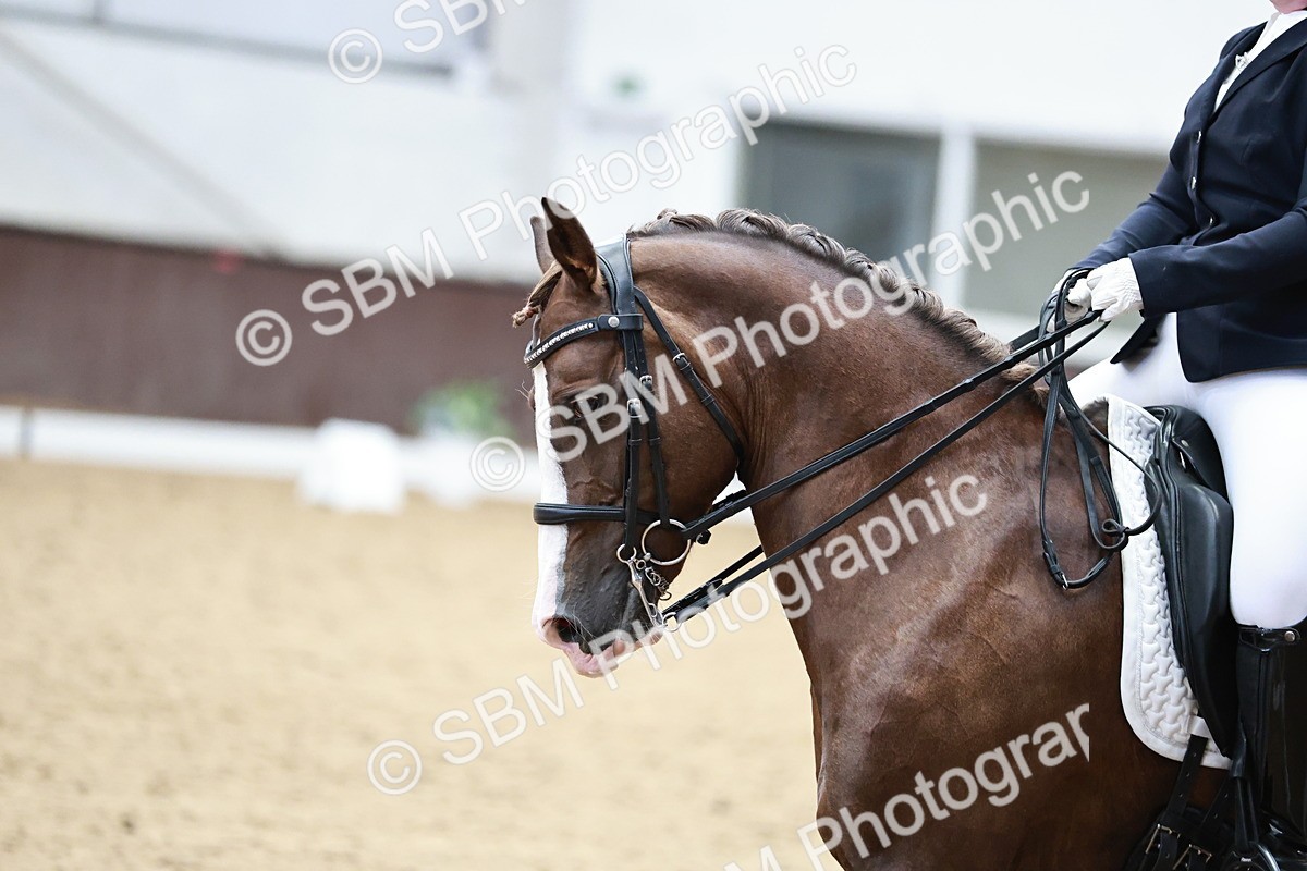 SBM_014413 - Class 7 - Ele FSM Bronze  13.24.14.04