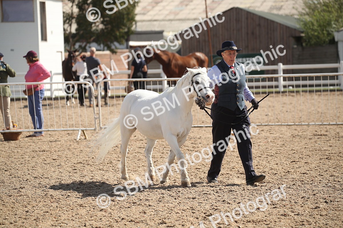 SBM_23543 - Class 605 - 2026 - Area - IH Veteran