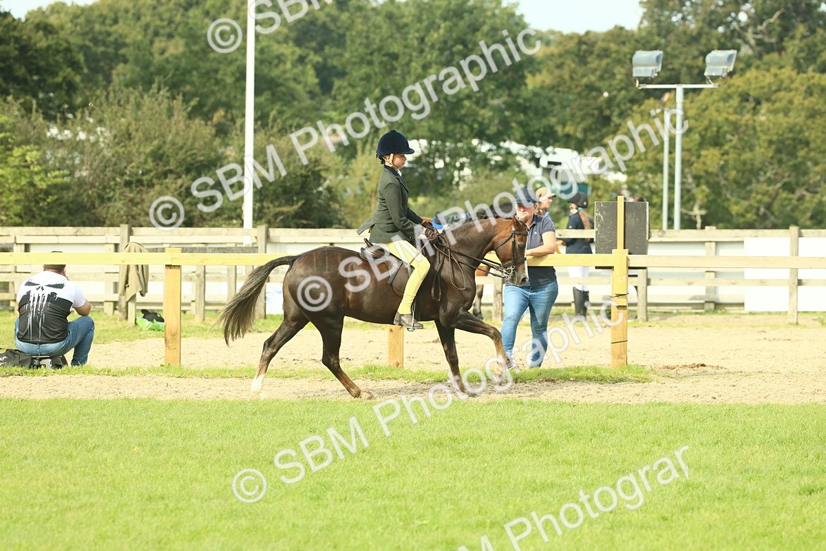 SBM_68064 - S57 - Part Bred Pony Ridden